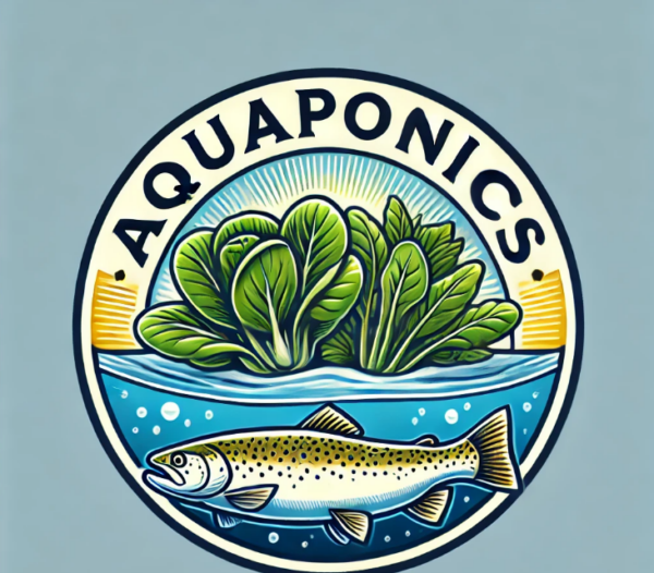 aqua picture